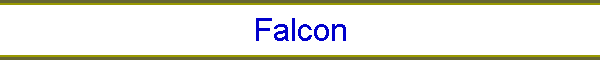 Falcon