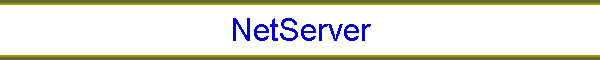 NetServer